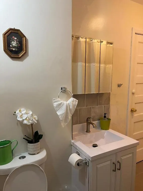 Victorian Palace- Mahogany Room East Orange Homestay